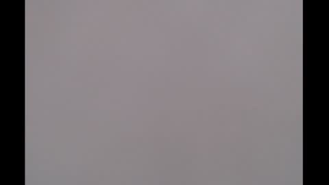 bivi  hot online show from January 2025 01:52:01 PM