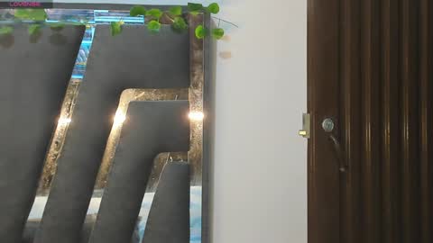 B L A C K  R O S E  online show from January 2025 11:33:02 AM