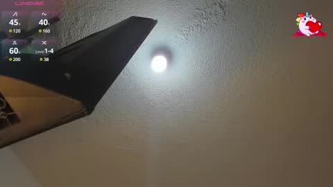 B L A C K  R O S E  online show from February 2025 11:51:01 AM