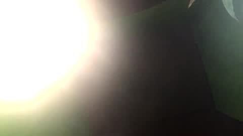 Crystal online show from December 2024 01:50:02 PM