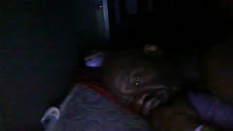 Snapshot of blackteddybear chatting on February 2026 03:24:02 AM blackteddybear online show from February 2026 03:24:02 AM