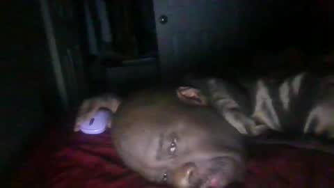 Snapshot of blackteddybear chatting on February 2026 11:33:01 AM blackteddybear online show from February 2026 11:33:01 AM