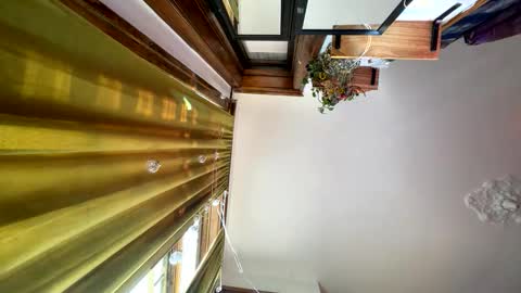 Blair online show from November 2025 05:18:01 PM