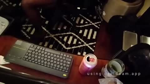 Blackjag00 online show from February 2025 05:41:01 AM