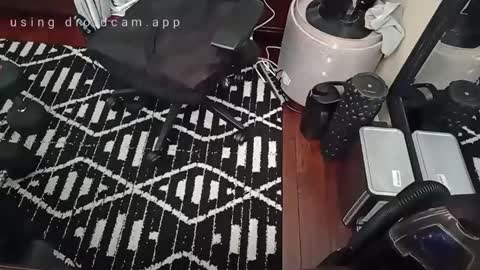 Blackjag00 online show from February 2025 07:49:01 PM