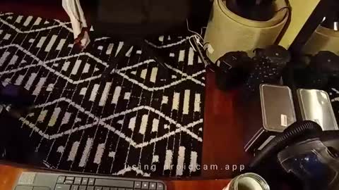 Blackjag00 online show from February 2025 07:06:02 AM