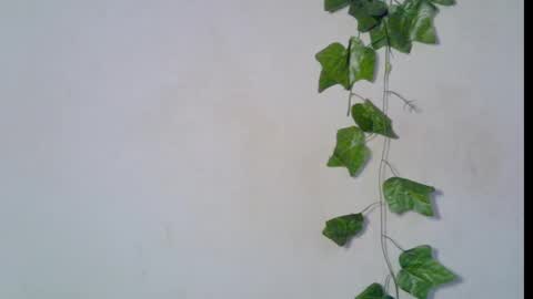 nikky00 online show from March 2026 06:50:01 AM