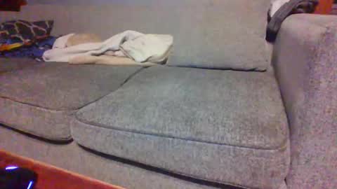 blaw_1321 online show from April 2026 07:31:01 AM