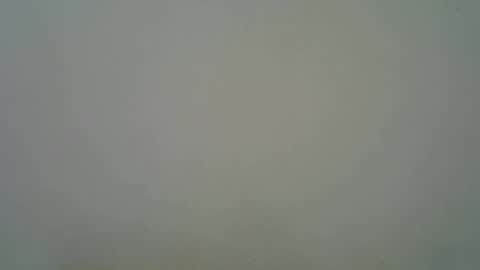 Black  brown online show from November 2025 05:29:01 AM