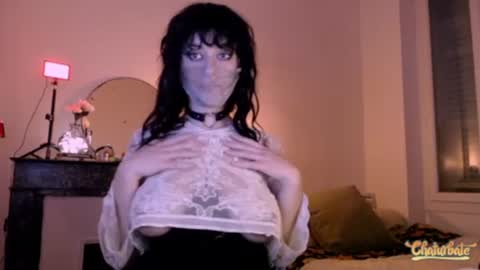 Snapshot of bleu_belladone chatting on February 2025 07:27:01 PM Cassandre online show from February 2025 07:27:01 PM