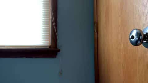 Blissful Foxtrot online show from April 2026 01:15:01 PM