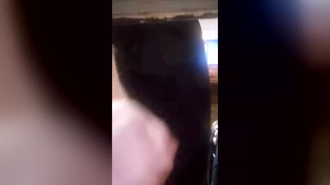 blondiikat7 online show from June 2026 07:35:02 AM