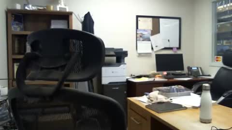 bluediamond777 online show from December 2024 07:40:01 PM