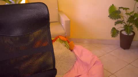 FLORAA online show from June 2026 03:54:01 PM
