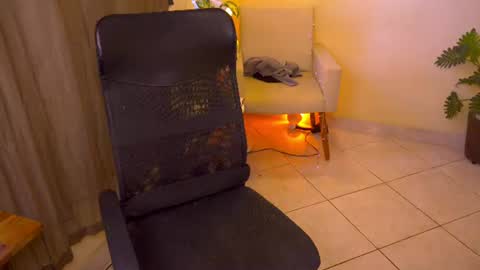 FLORAA online show from June 2026 04:54:01 PM