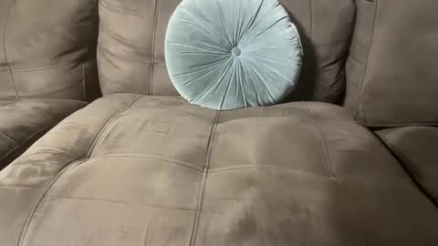 bluegreenish online show from October 2025 11:41:02 PM