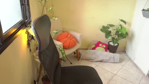 FLORAA online show from January 2025 01:22:01 PM