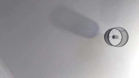 Snapshot of bobby160968 chatting on November 2025 07:03:03 PM bobby160968 online show from November 2025 07:03:03 PM