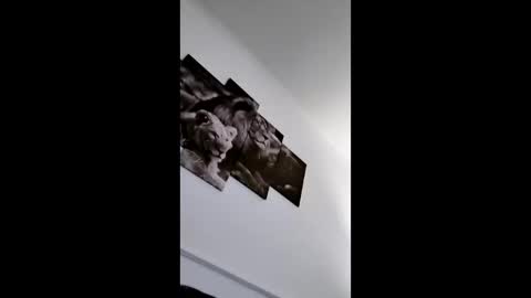 Snapshot of bobby160968 chatting on January 2026 06:43:02 PM bobby160968 online show from January 2026 06:43:02 PM