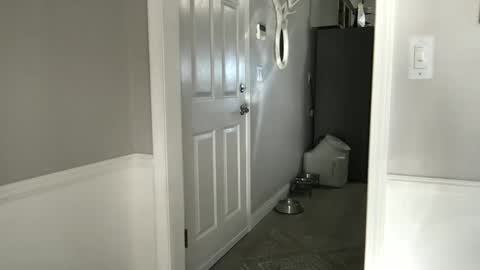 bobbylightfoot3 online show from February 2025 10:20:01 PM