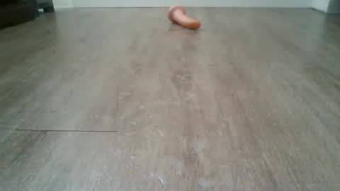 bocul1969 online show from February 2026 02:55:02 PM