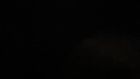 Bogarcon234 online show from December 2024 07:58:01 AM