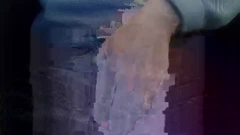 bogus25 online show from March 2026 09:28:01 PM