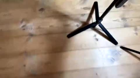 Nail and Olivia online show from December 2025 10:57:01 AM