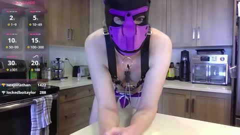 Snapshot of boiwonder420 chatting on March 2026 05:08:01 PM BoiWonder420 online show from March 2026 05:08:01 PM