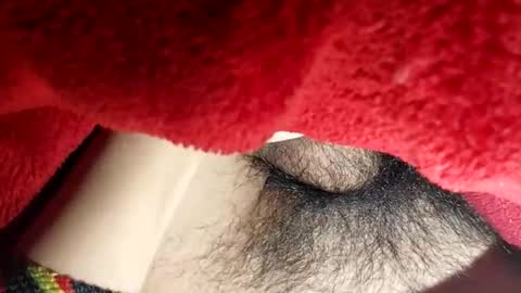 Boloski7 online show from December 2025 06:42:02 AM