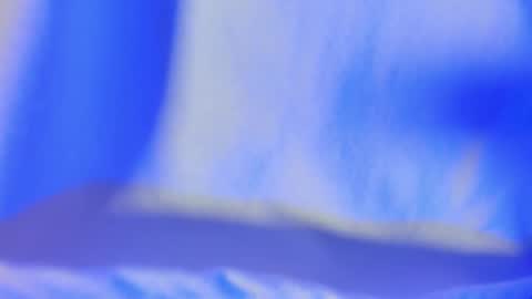 bombon online show from February 2026 11:20:01 AM