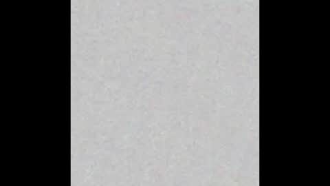 bonnie online show from January 2025 11:37:02 AM