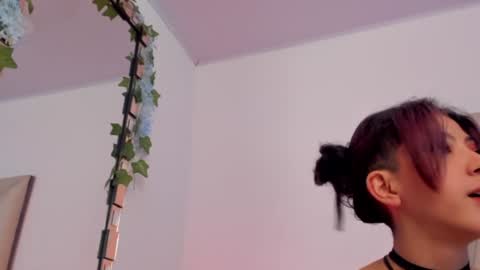   online show from January 2025 02:46:01 PM