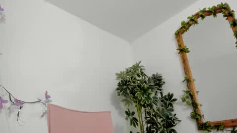   online show from October 2025 12:00:01 AM