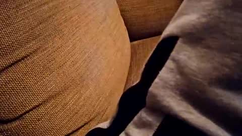 bonny8723 online show from October 2025 07:25:02 PM