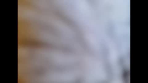 bonop1 online show from January 2025 01:59:01 PM