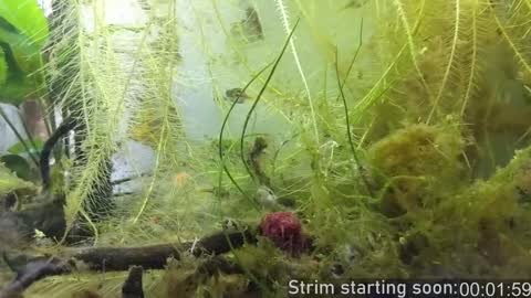 Snapshot of booker_baxton chatting on December 2024 04:09:02 AM Booker Baxton online show from December 2024 04:09:02 AM