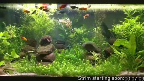 Snapshot of booker_baxton chatting on December 2024 04:04:01 AM Booker Baxton online show from December 2024 04:04:01 AM