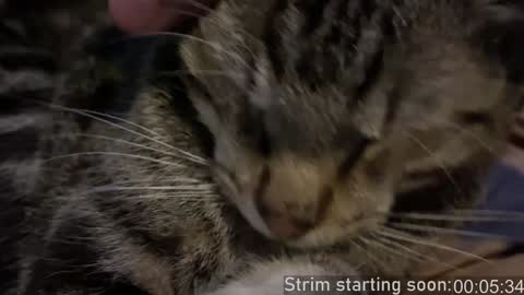 Snapshot of booker_baxton chatting on December 2024 04:07:02 AM Booker Baxton online show from December 2024 04:07:02 AM