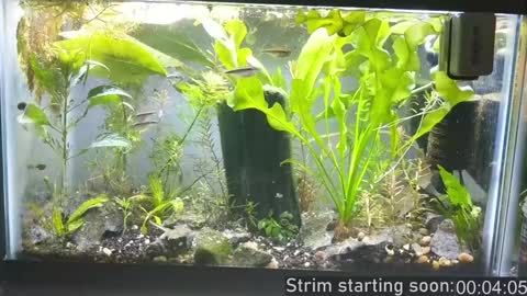 Snapshot of booker_baxton chatting on December 2024 04:07:02 AM Booker Baxton online show from December 2024 04:07:02 AM