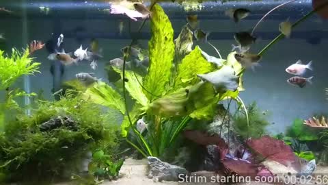 Snapshot of booker_baxton chatting on December 2024 04:09:02 AM Booker Baxton online show from December 2024 04:09:02 AM