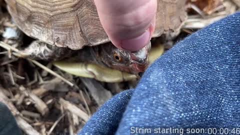 Snapshot of booker_baxton chatting on December 2024 04:09:01 AM Booker Baxton online show from December 2024 04:09:01 AM