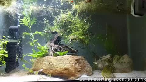 Snapshot of booker_baxton chatting on December 2024 04:11:01 AM Booker Baxton online show from December 2024 04:11:01 AM