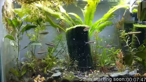 Snapshot of booker_baxton chatting on December 2024 04:01:02 AM Booker Baxton online show from December 2024 04:01:02 AM