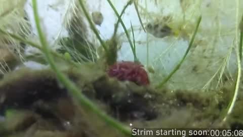 Snapshot of booker_baxton chatting on December 2024 04:05:02 AM Booker Baxton online show from December 2024 04:05:02 AM