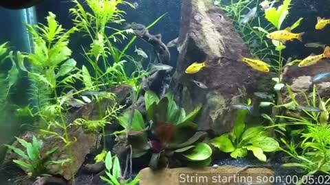 Snapshot of booker_baxton chatting on January 2025 04:04:01 AM Booker Baxton online show from January 2025 04:04:01 AM