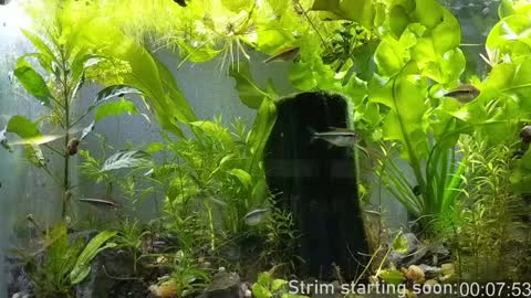 Snapshot of booker_baxton chatting on January 2025 04:02:01 AM Booker Baxton online show from January 2025 04:02:01 AM