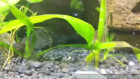 Snapshot of booker_baxton chatting on January 2025 04:04:01 AM Booker Baxton online show from January 2025 04:04:01 AM