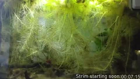 Snapshot of booker_baxton chatting on January 2025 04:04:02 AM Booker Baxton online show from January 2025 04:04:02 AM