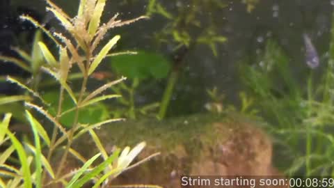 Snapshot of booker_baxton chatting on January 2025 04:01:01 AM Booker Baxton online show from January 2025 04:01:01 AM